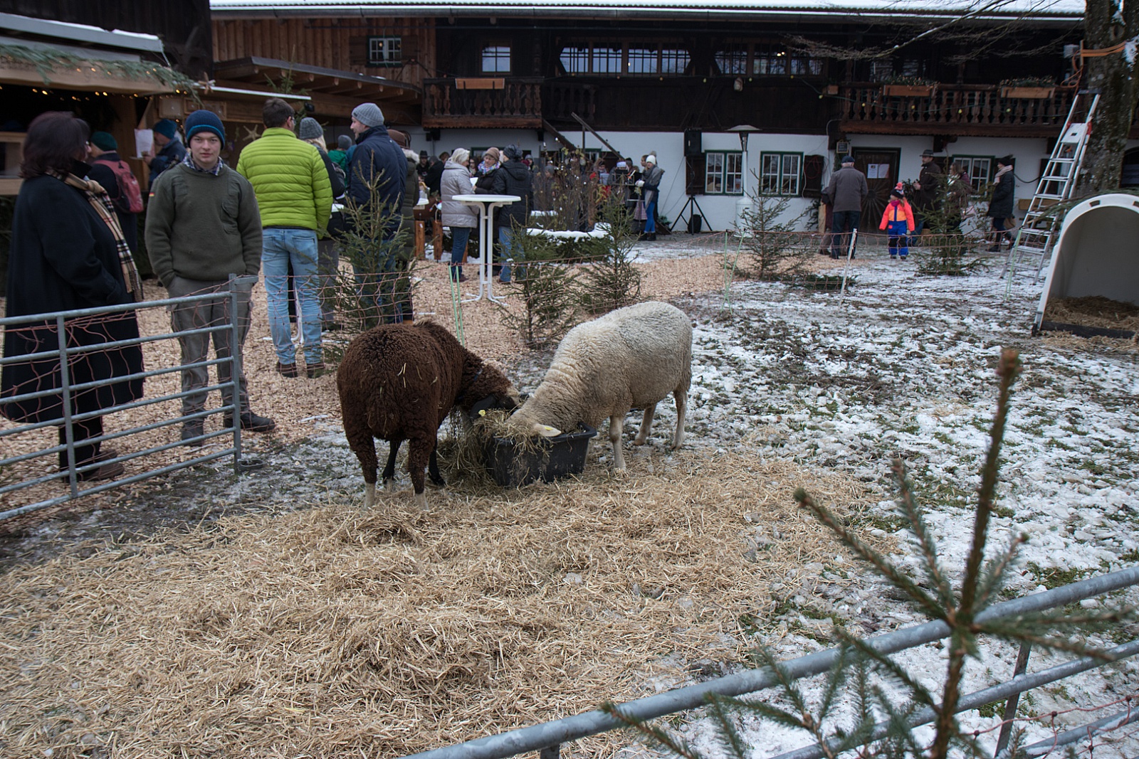 Adventsmarkt Hilgerhof - Samstag