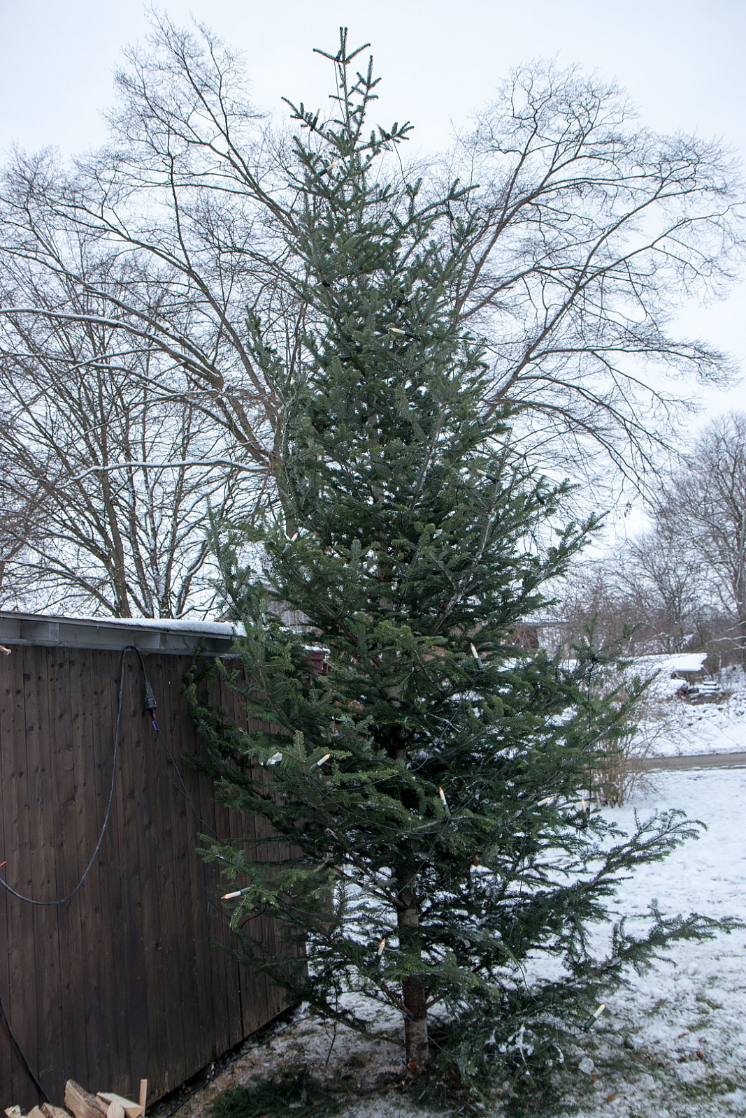 Adventsmarkt Hilgerhof - Samstag
