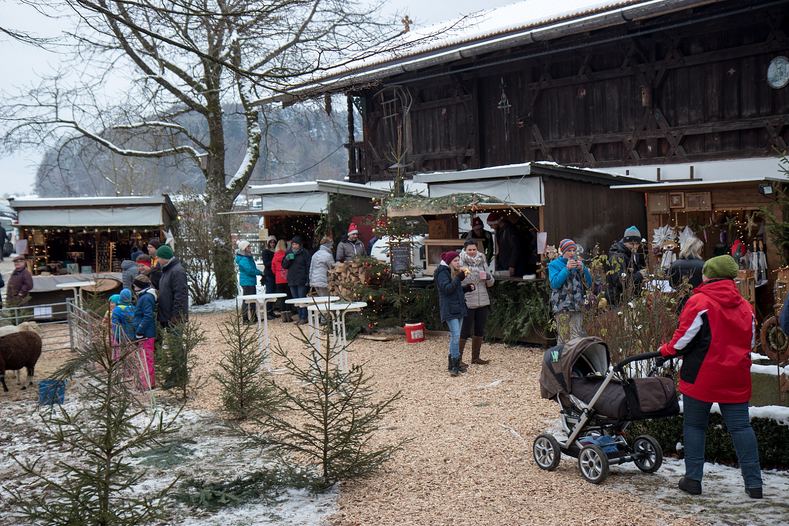 Adventsmarkt Hilgerhof - Samstag