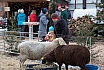 Adventsmarkt Hilgerhof - Samstag