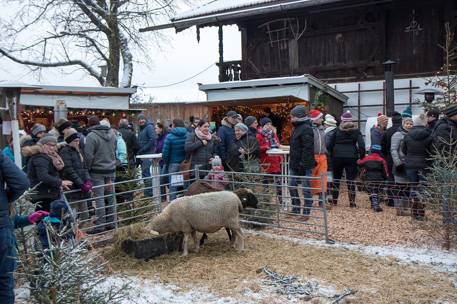 Adventsmarkt Hilgerhof - Sonntag