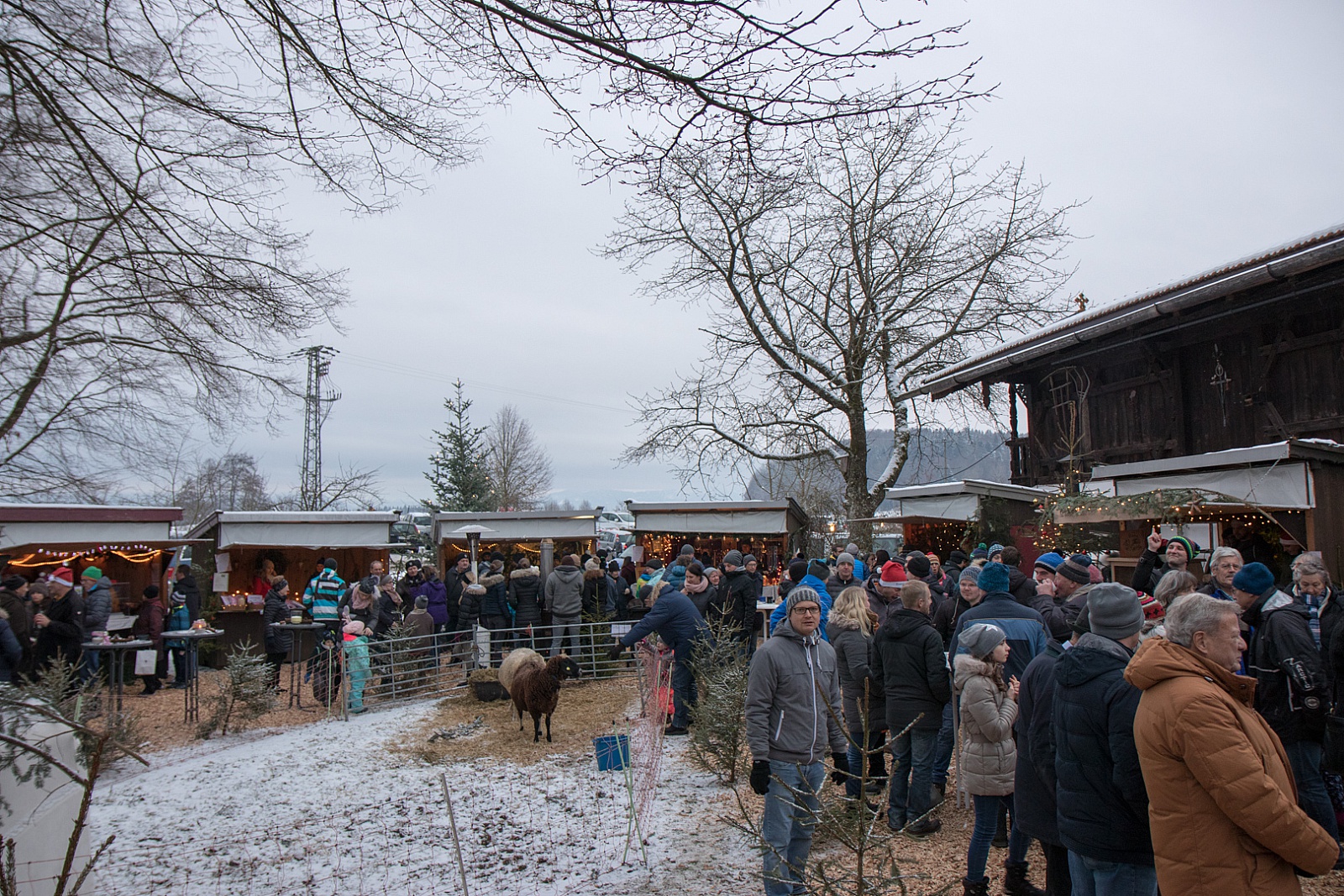 Adventsmarkt Hilgerhof - Sonntag